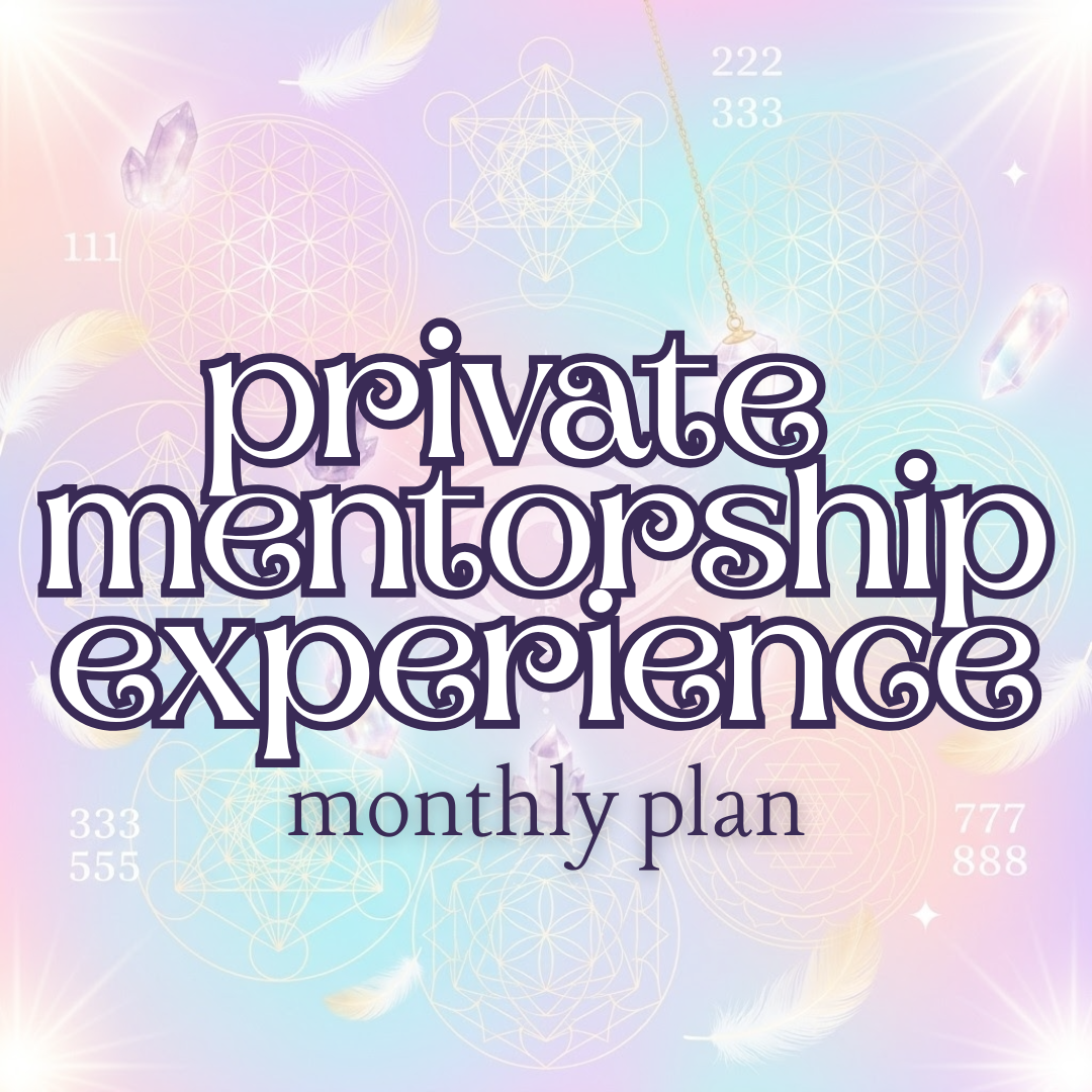 Private Mentorship Experience