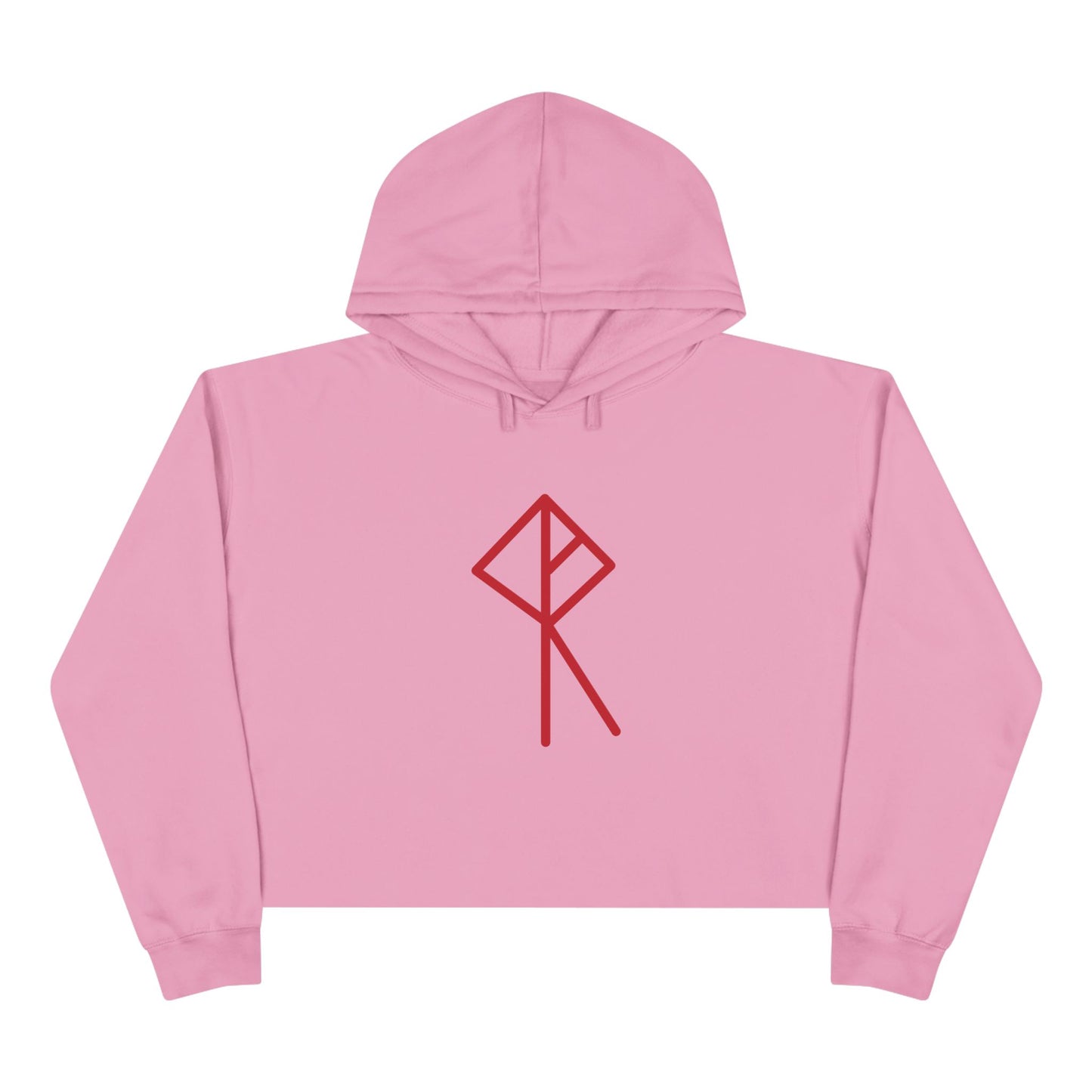"You require additional sources of income" Crop Hoodie