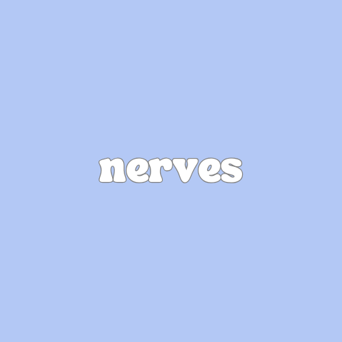 Nerves
