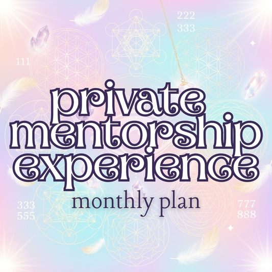 Private Mentorship Experience